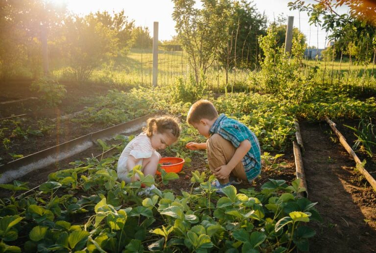 Horta para Crianças Importância Como Fazer Dicas Para Plantar