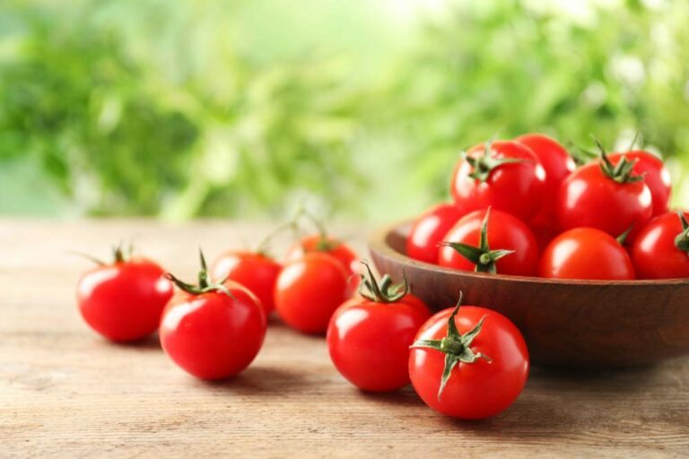 Como Plantar Tomate Cereja Dicas Essenciais Para Seguir