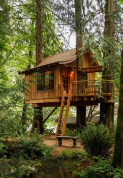 Modern Treehouse Design