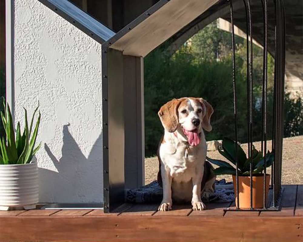 coragem a casinha de cachorro covarde por dentro