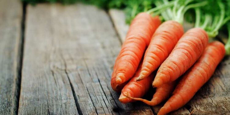 Como Cozinhar Cenoura: Confira o Passo a Passo Simples e Prático